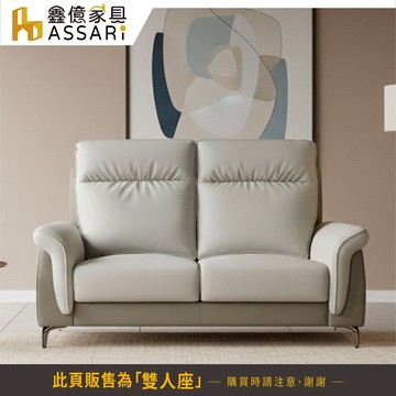 ASSARI-艾馬雙人座仿真皮獨立筒沙發