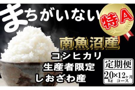 生産者限定 契約栽培　南魚沼しおざわ産コシヒカリ（20Kg×12ヶ月）