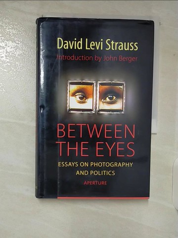 【書寶二手書T4／攝影_TLF】Between the Eyes: Essays on Photography_Strauss, David Levi
