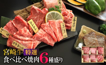 宮崎牛！特選！食べ比べ焼肉6種盛り(合計600g)