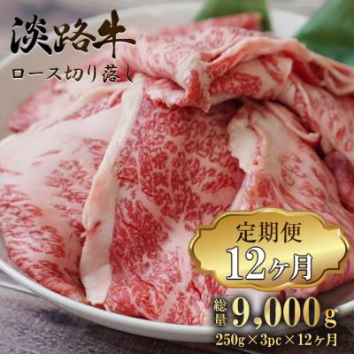 ふるさと納税 淡路市  淡路牛 ロース切り落し 750g (250g×3パック)