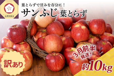  りんご 約10kg サンふじ 葉とらず 青森産
