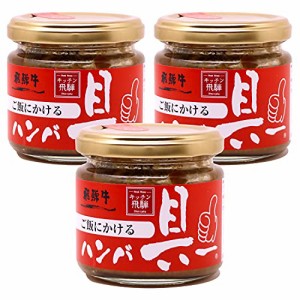 キッチン飛騨 ご飯にかける飛騨牛ハンバ具ー 120g×3個セット