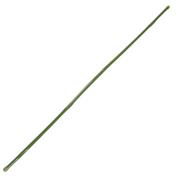 園藝用綠竹 H90cm