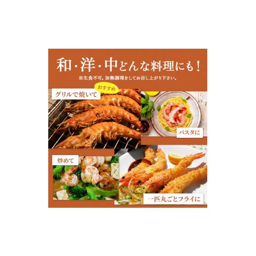 ふるさと納税 沖縄県 竹富町 2024年 先行予約 車えび 500g 竹富島産 冷凍 エビ