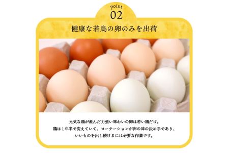 安藤鶏卵のこだわり卵 40個 美味しい卵 高級卵 濃厚鶏卵 生卵 赤玉卵 ピンク玉卵