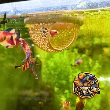 🔥好物推薦🔥獨立站新款Fish Rest Area魚類休息室水族箱配件浮動魚類休息室 NLVC