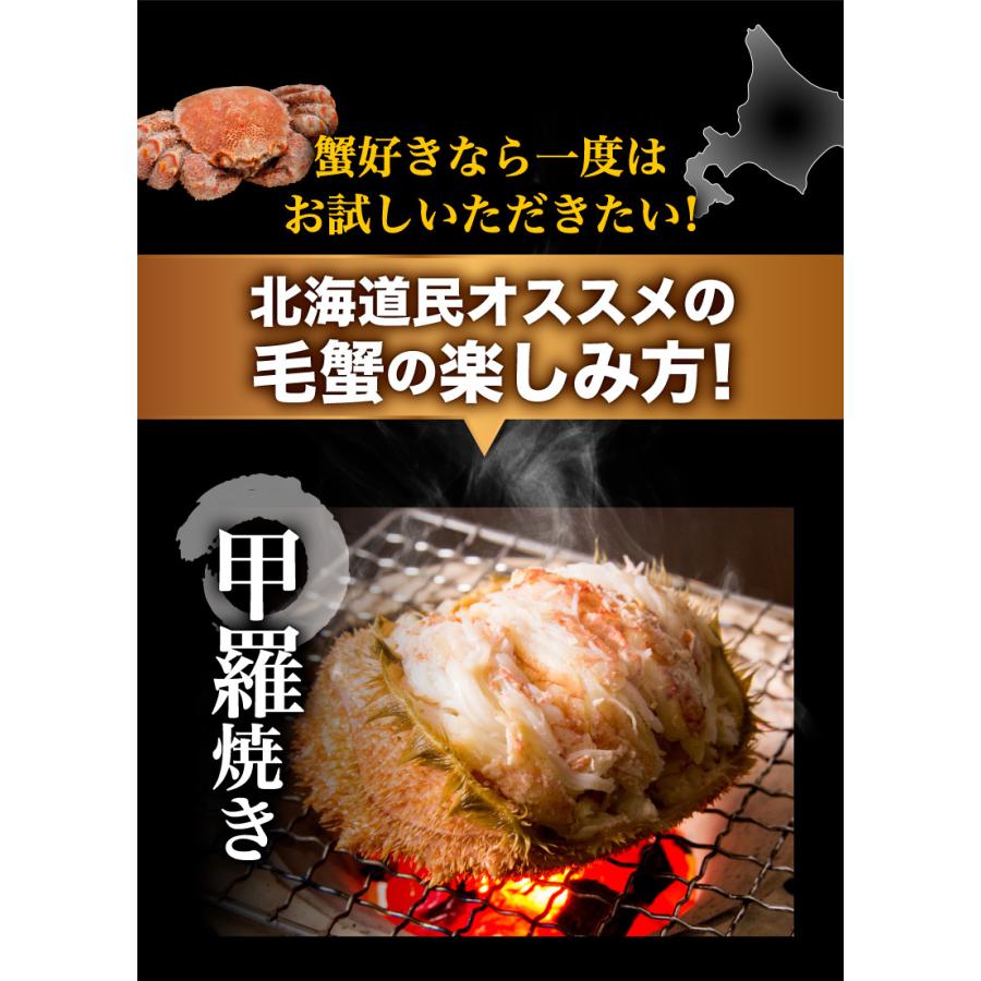 ポイント5倍 御歳暮 お歳暮 ギフト お正月 毛ガニ 北海道産 プレミアム毛蟹 超特大約1kg（3特・4特）1杯 送料無料 産地直送 Y凍