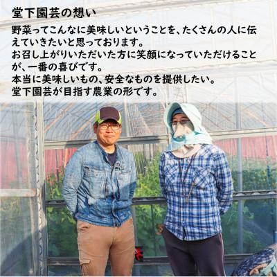 ふるさと納税 あわら市 農家直送 冬野菜セット 1箱 7品目以上 《元気に育った新鮮野菜!》