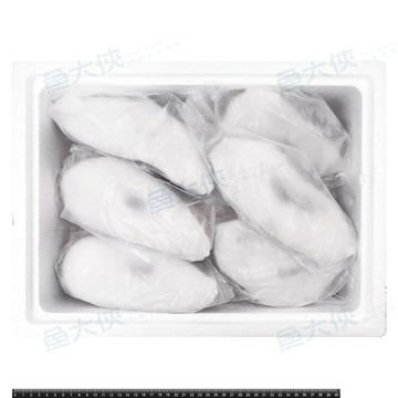 大比目魚-切片A24N整件 (半肚洞/11~12片/25%冰/6kg/件)#整件-1D6A【魚大俠】FH126