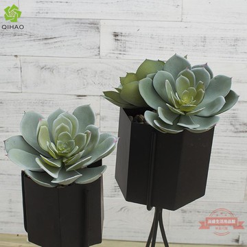 仿真多肉植物牡丹蓮植物墻多肉畫框配材小植物盆栽裝飾 台灣樂天市場 Line購物
