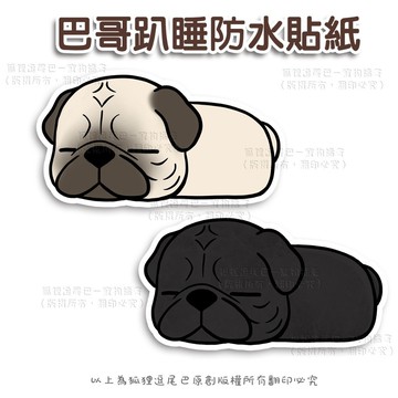 狐狸逗尾巴 防水貼紙 巴哥犬趴睡 巴哥 黑巴哥防曬防水貼紙 車貼 安全帽 行李箱 露營貼寵物插畫防水貼紙