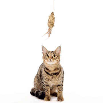 【MPETS】貓咪喜歡的大自然元素! 大自然逗貓棒(四款造型可選)