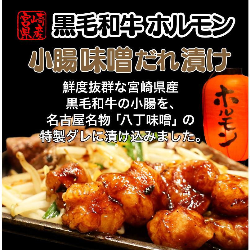 黒毛和牛 ホルモン 焼き肉 小腸 味噌だれ漬け 600g 宮崎県産 送料無料 BBQ おつまみ おかず クール便