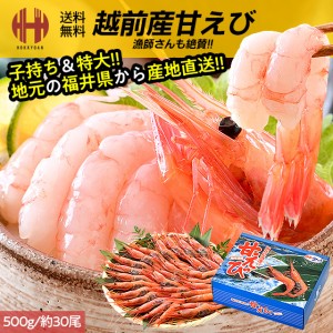 甘エビ 甘えび 特大 子持ち 刺身 500g 冷凍 越前甘エビ 福井県 お歳暮 ギフト 年末 年末年始 お正月 送料無料