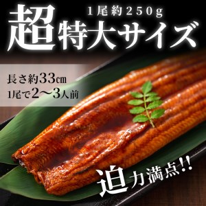 鹿児島県産うなぎ蒲焼 名水慈鰻 超特大サイズ２尾(1尾あたり236~270g)＜計約500g＞ a8-059