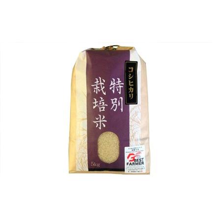 ふるさと納税  加賀百万石特別栽培米コシヒカリ玄米10kg 石川県能美市