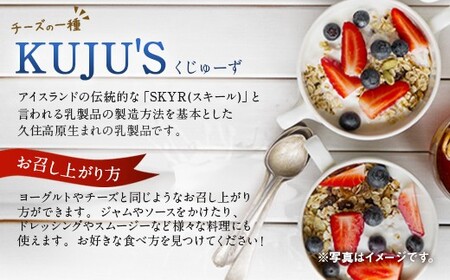 KUJU'S くじゅーず 家庭用パックタイプ 500g×2パック チーズ プレーン 無糖 乳製品 低脂肪 高カルシウム スキール