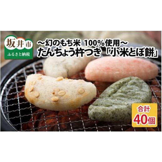 ふるさと納税 福井県 坂井市 たんちょう杵つき「小米とぼ餅」 計40枚 〜幻のもち米100％使用〜   [A-2912]