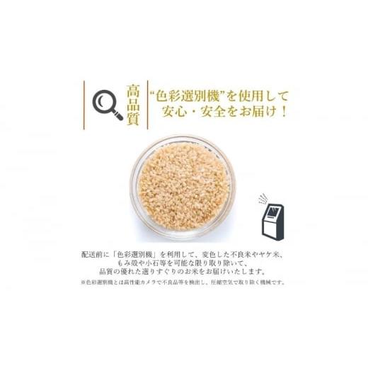 ふるさと納税 秋田県 能代市 食べ比べ 玄米セット ひとめぼれ＆あきたこまち 各5kg 計10kg 秋田県 能代市産