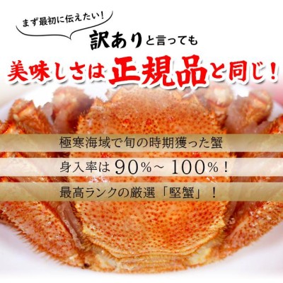 お歳暮 カニ ギフト 送料無料 ちょっと訳有 北海道稚内産 毛蟹 1kg 1尾