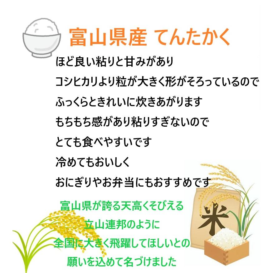 12 7エントリーで 4％    富山県産 てんたかく 玄米 20kg 贈り物 米 コメ こめ お米 おこめ