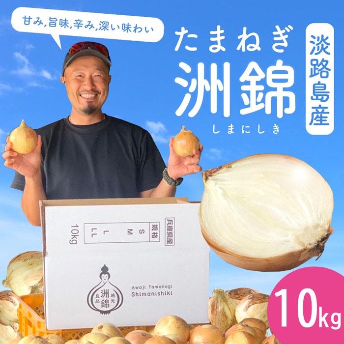 玉ねぎ 淡路島 10ｋｇ 洲錦 （しまにしき） たまねぎ タマネギ オニオン onion 淡路島産 