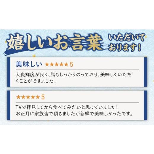 ふるさと納税 長崎県 平戸市 ヒラマサ（半身） 平戸なつ香 ヒラス 約1kg 平戸市 ／ 坂野…