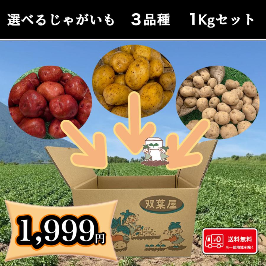 選べる北海道産じゃがいも 3品種 1kg詰め合わせセット 送料無料 馬鈴薯