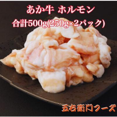 ふるさと納税 八代市 あか牛 白ホルモン 500g(250g×2パック)(八代市)