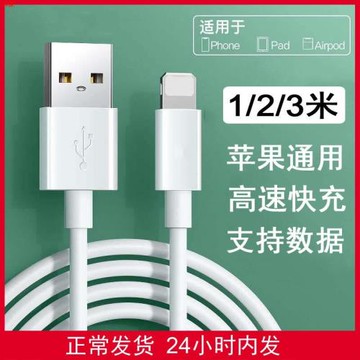 適用apple蘋果數據線iPhone14充電線13快充12閃充Xs11PD單頭876iPad平板沖加長2米3米14promax充電器特長套裝