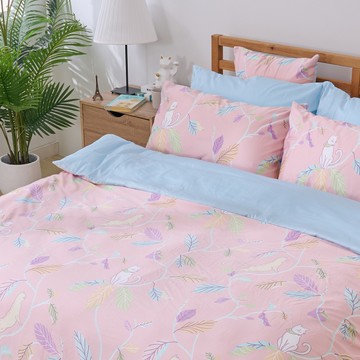 戀家小舖【貓咪奇遇記】 單人床包枕套三件組 100%精梳棉 台灣製造