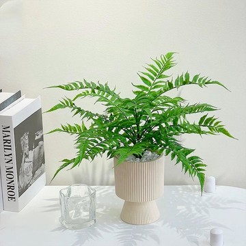 FLORAL M 仿真花 居家氛圍感波斯頓蕨綠植  綠色  1個
