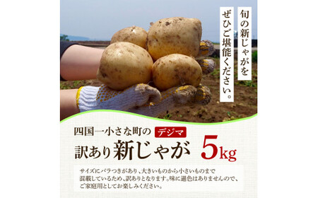 ★先行受付：2024年5月発送開始★大野台地で採れた 令和6年産新じゃがいも『デジマ』5kg 訳あり品 5キロ イモ ジャガイモ 芋 いも ポテト 野菜 おいしい 旬 国産 お取り寄せ 送料無料