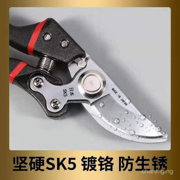 【30天熱銷1197件】日本品質SK5大剪子大號強力修枝剪貴的剪樹枝剪子花木園藝剪🔥三月放送BBB RZXX