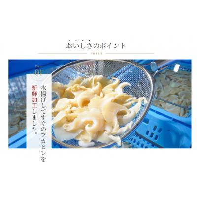 ふるさと納税 気仙沼市 ふかひれ姿煮・スープセット