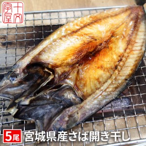 脂は乗ってて当たり前！石巻の至宝 宮城県産 さば開き干し 5枚セット hsk 金華サバ 金華鯖 無添加 干物 宮城 石巻 冷凍便 お取り寄せ BBQ