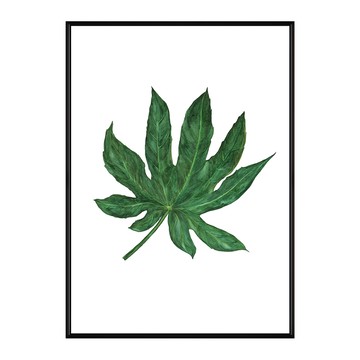 畫作花草生活 八角金盤葉  簡潔邊框畫作  30 x 40cm  黑色框