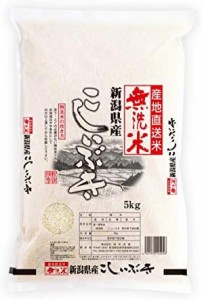 無洗米 新潟産 こしいぶき 5kg 令和3年産 令和4年産