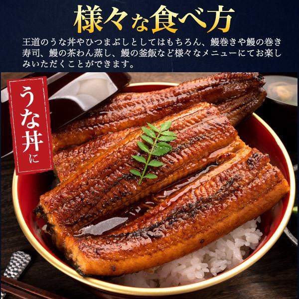 2尾セット 国産うなぎ 蒲焼き (180g 2尾) 老舗うなぎ専門店 五郎藤 タレ付き 国産 手焼き 国産鰻 三重県産 愛知県産 お取り寄せ グルメ 熨斗対応可 冷凍配送