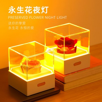 新品永生花夜灯女生生日礼物小夜灯USB充电家用迷你桌面台灯