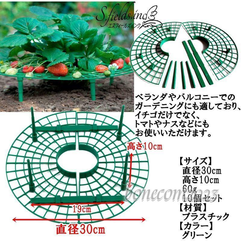 イチゴ棚 10個セット いちごプランター棚 苺苗棚 栽培棚 支え棚 園芸支柱 トマト ナス