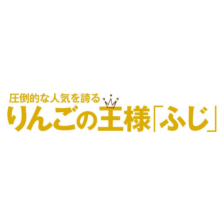 りんご 10kg 大特価 サンふじ 青森産 ご家庭用 送料無料 食品