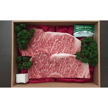 ふるさと納税 （国産 ステーキ 和牛 ステーキ 牛肉 丹波牛 ステーキ  A5 ステーキ サーロイン ステ.. 京都府