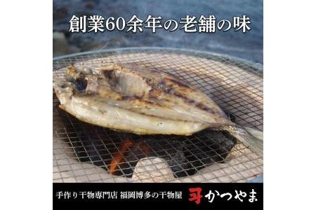 博多志賀島　干物かつやま定番干物詰合せ