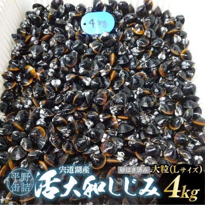 宍道湖産活大和しじみ大粒(L)(砂はき済み) 4kg〈冷蔵〉