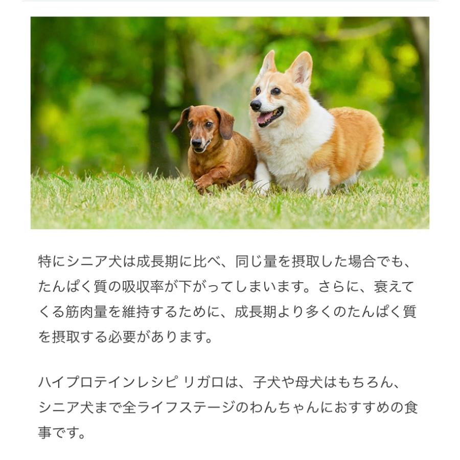 リガロ ハイプロテインレシピ ７歳以上用 シニア ラム 5.8kg 愛犬用