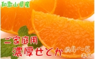 和歌山の濃厚せとか　約4～5kg　（ご家庭用訳あり）※2024年2月下旬～3月下旬頃に順次発送予定※沖縄地域へのお届け不可