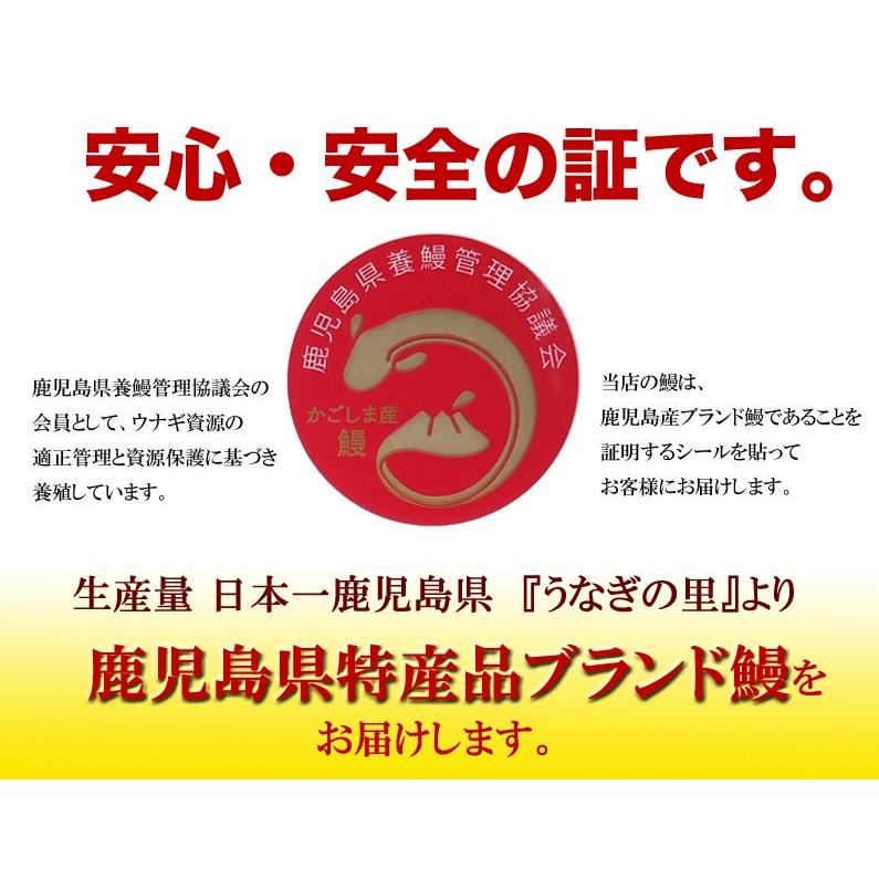 うなぎ 蒲焼き ご家庭用 国産 鹿児島産 長蒲焼き10本セット 約110g×10 タレ山椒付き 送料無料 クール