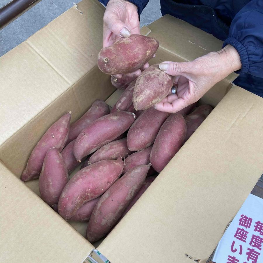 茨城産　甘いさつまいも　紅はるか　Mサイズ　5ｋｇ